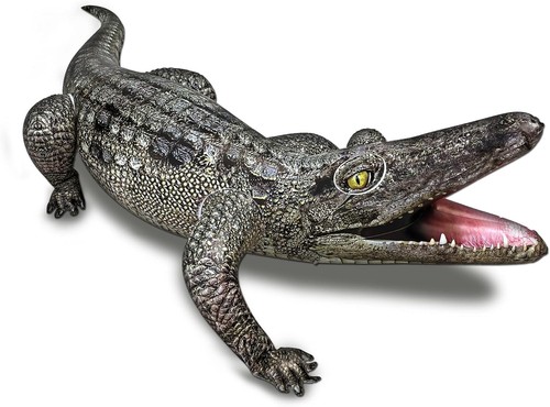 Inflatable alligator pool - alligator,